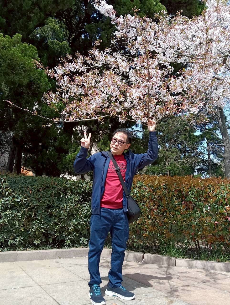 10-15 APR 26  JTTNA-SC3C จี่หนาน ชิงเต่า เยี่ยนไถ เว่ยไห่ เที่ยว 4 เมือง ซากุระ สงกรานต์ เข้าจี่หนาน