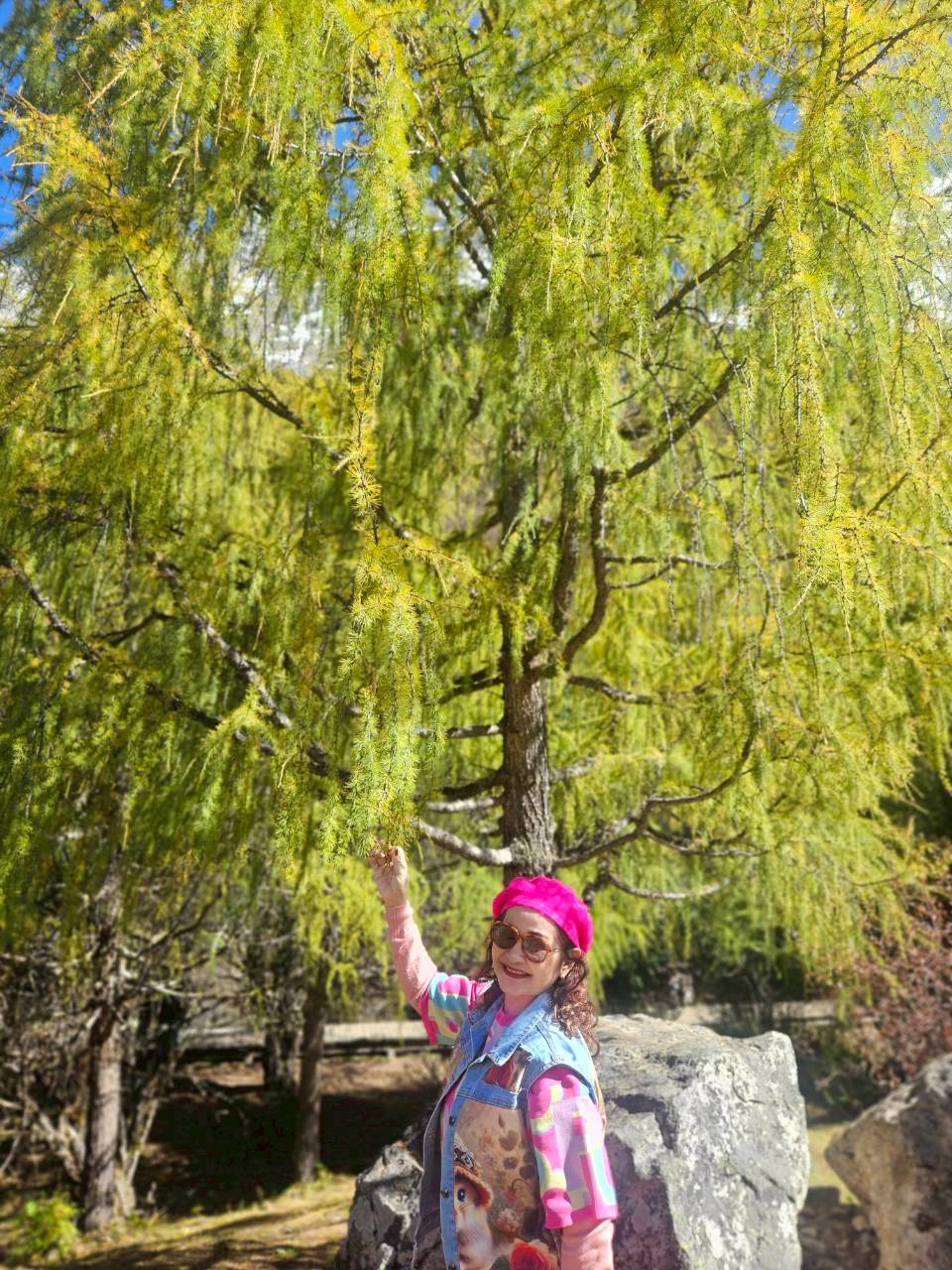 18-23 ต.ค. 68  JTTFU-SL2B เฉิงตู จิ่วจ้ายโกว หวงหลง สี่ดรุณี รถเหมาอุทยาน