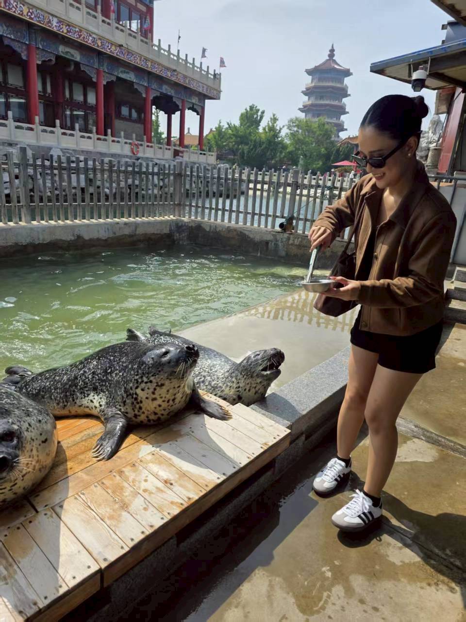 20-25 MAY 26  JTTAO-SC2D เอกซ์คลูซีฟ.ชิงเต่า เยี่ยนไถ เว่ยไห่ จุดชมวิว 8 เซียนข้ามทะเล