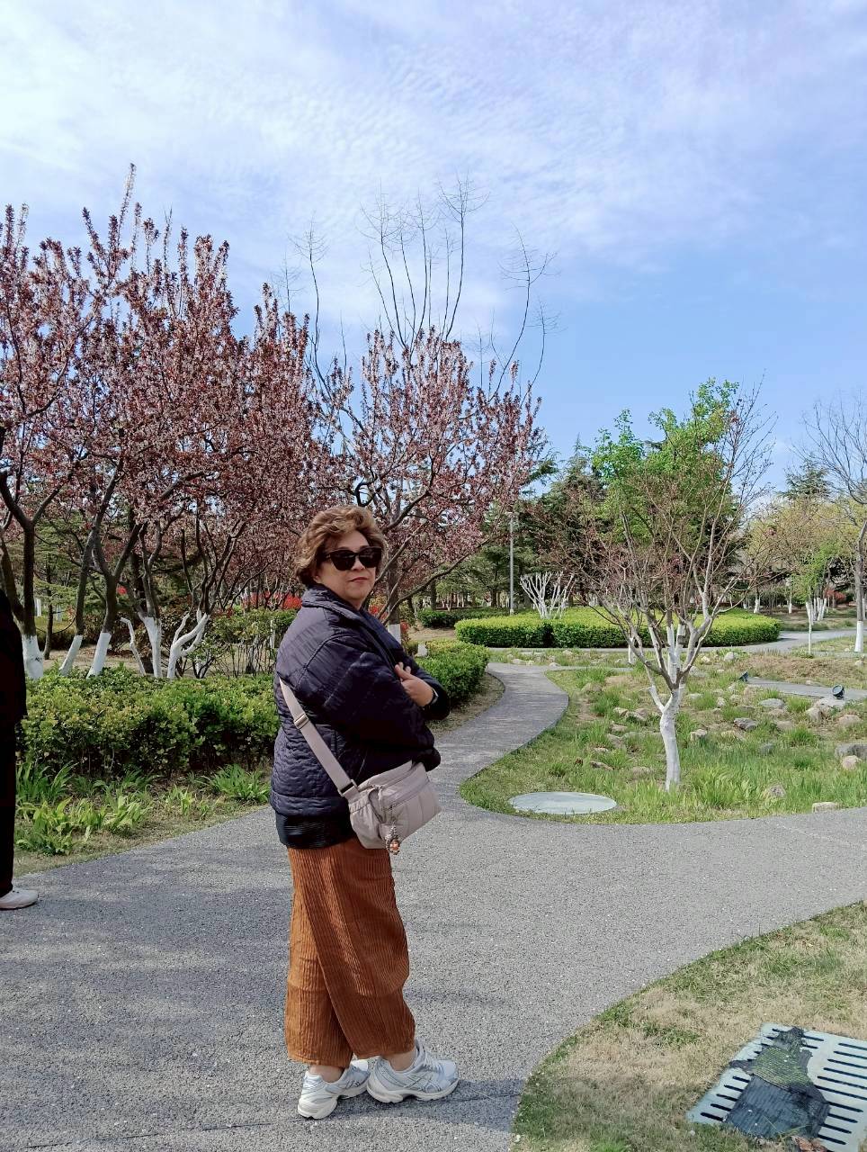 10-15 APR 26  JTTNA-SC3C จี่หนาน ชิงเต่า เยี่ยนไถ เว่ยไห่ เที่ยว 4 เมือง ซากุระ สงกรานต์ เข้าจี่หนาน